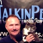 27 Years Of Animal Talk