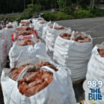“Spudtacular” Draws Thousands