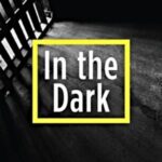 In the Dark logo