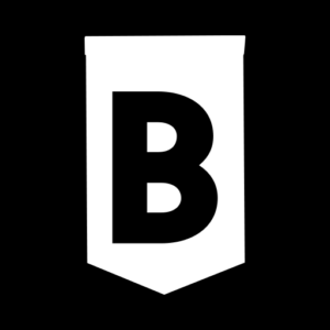 Bleav Logo