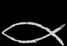 Silverfish Media Logo
