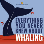 Everything You Never Knew About Whaling