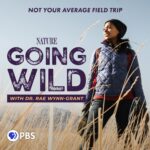PBS Is ‘Going Wild’ For The Third Time This Fall Going Wild Podcast