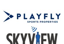 Playfly Skyview