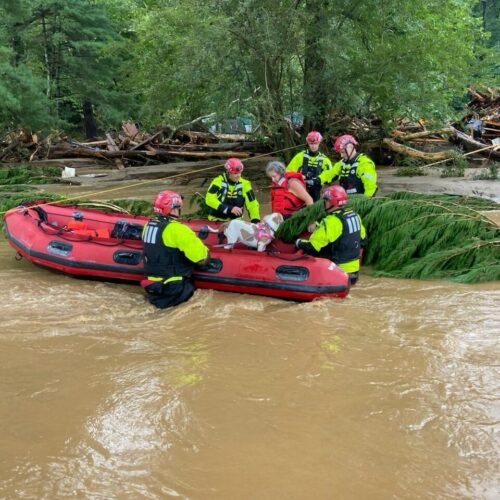 Polk County, NC - New York Task Force conducts search and rescue operations after Hurricane Helene.