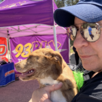 Cumulus Gulf Coast Pet Adoption Festival