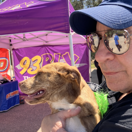 Cumulus Gulf Coast Pet Adoption Festival Cumulus Gulf Coast Pet Adoption Festival
