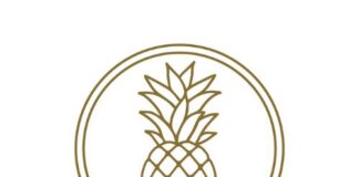 Pineapple Street Studios