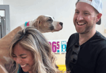 Kramer and Jess All Paws Home