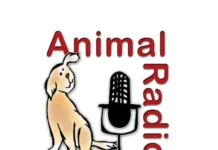 animal radio 1