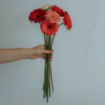 Give Flowers