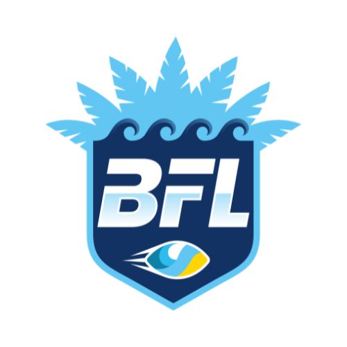 Beach Football League