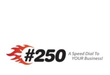 Dial 250 Logo