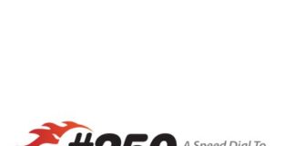 Dial 250 Logo