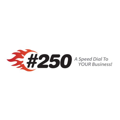 Dial 250 Logo