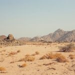 News Deserts Widen, Leaving An Opening For Radio Desert