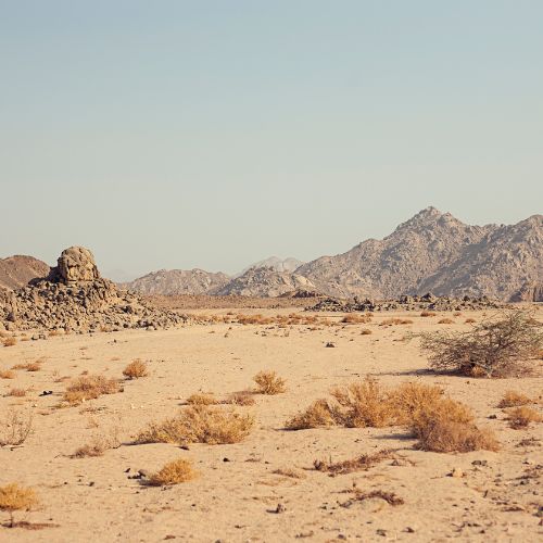 Desert