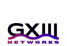 Gemini Networks