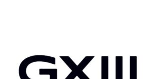 Gemini Networks