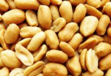 From Peanuts to Programmatic: Behind a Virginia Brand’s Big Play Peanuts